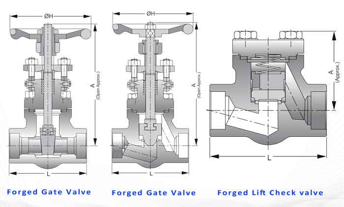 Forged Valve Digram